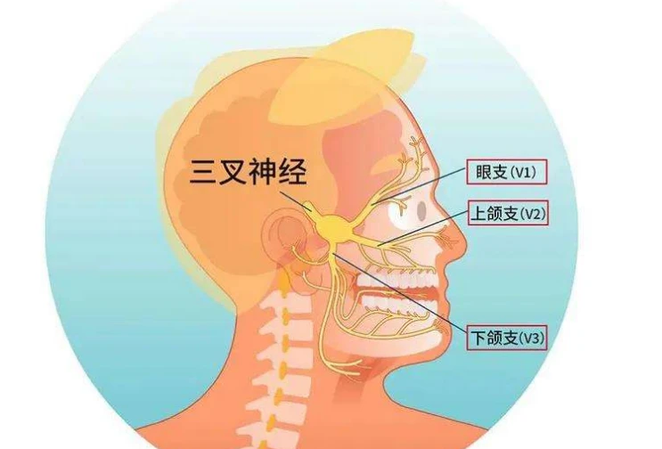 治疗三叉神经痛的专业医院