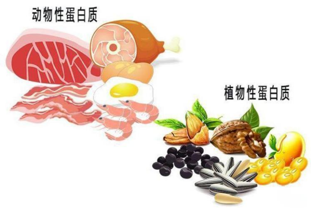28b844e45f8740c3b6e65930535a3243.png