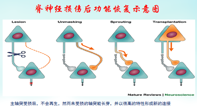 28b844e45f8740c3b6e65930535a3243.png