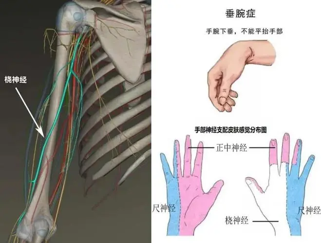28b844e45f8740c3b6e65930535a3243.png
