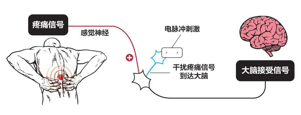 49c487a165754452a64b111c7e683bb0.png