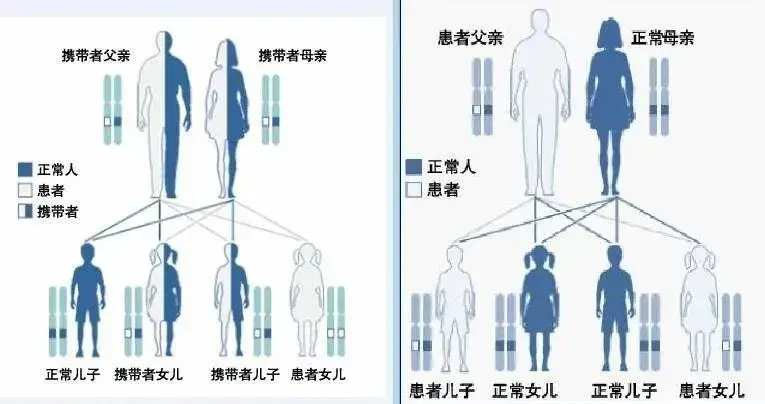 49c487a165754452a64b111c7e683bb0.png