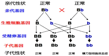 28b844e45f8740c3b6e65930535a3243.png