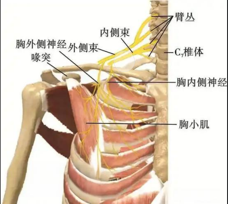 28b844e45f8740c3b6e65930535a3243.png