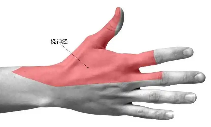 28b844e45f8740c3b6e65930535a3243.png