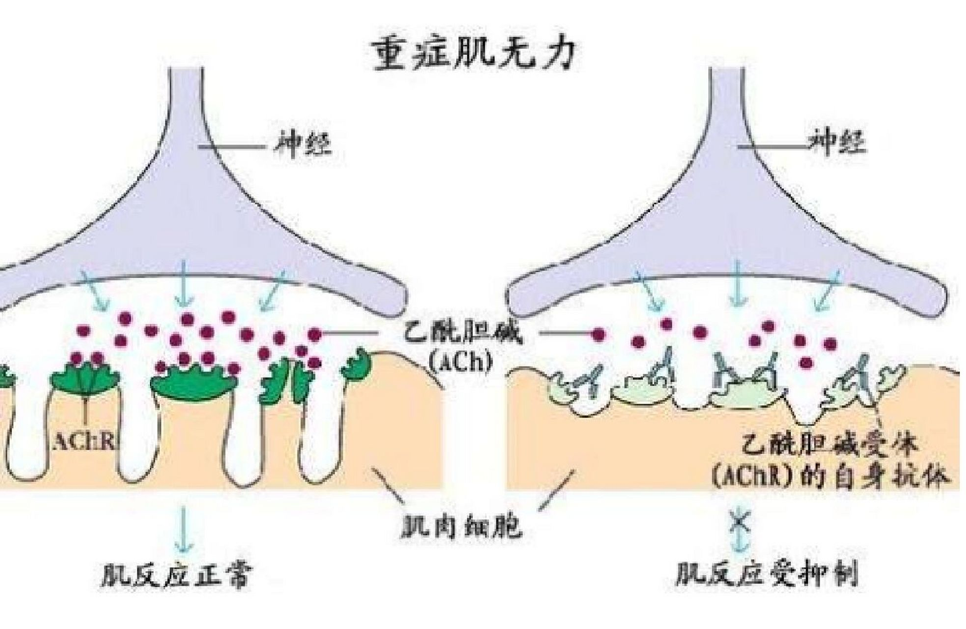 28b844e45f8740c3b6e65930535a3243.png