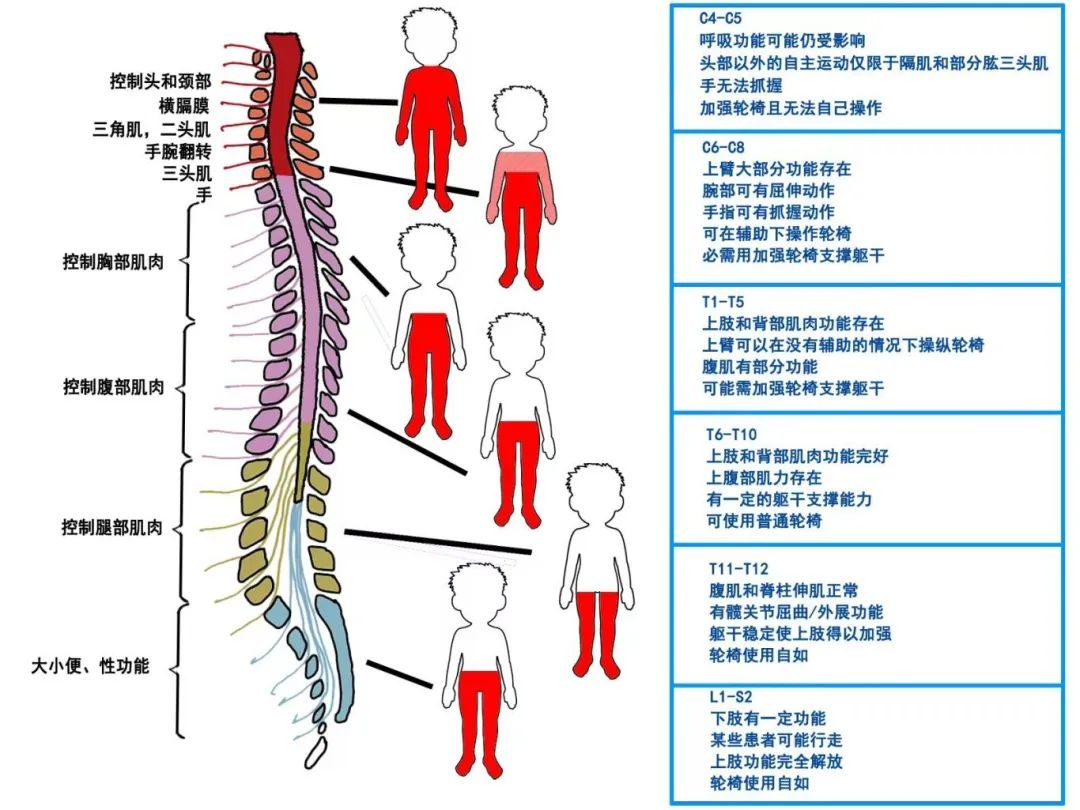 28b844e45f8740c3b6e65930535a3243.png