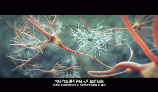 37f68eeda9dd48069744b14c68fcd533.gif