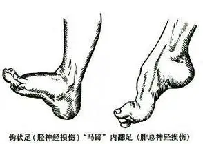 28b844e45f8740c3b6e65930535a3243.png