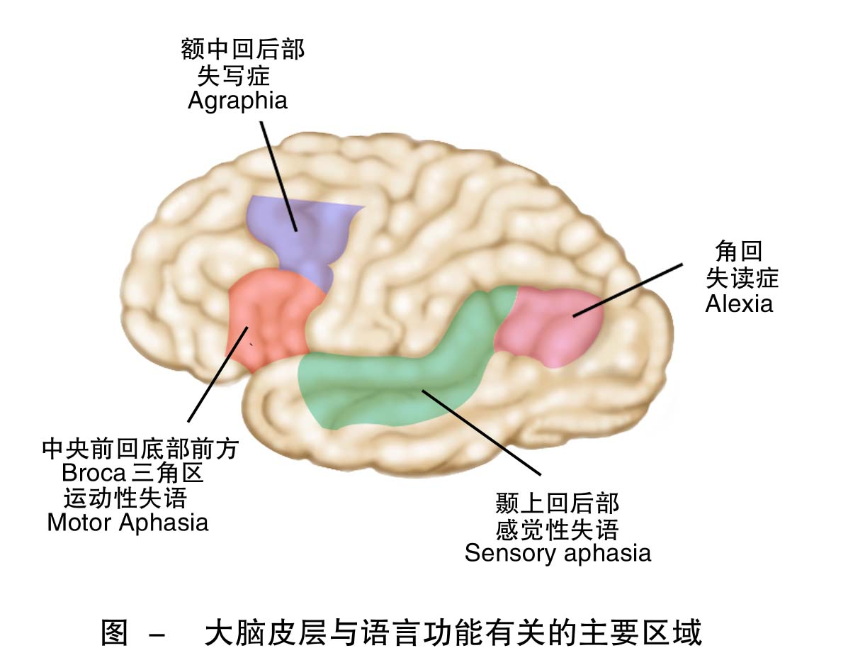28b844e45f8740c3b6e65930535a3243.png