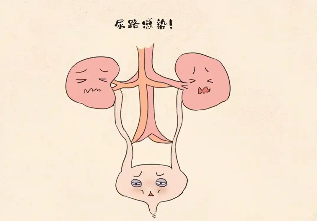 28b844e45f8740c3b6e65930535a3243.png