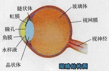 640.webp (27).jpg