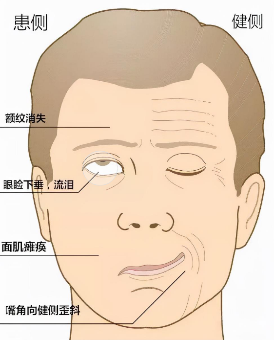 49c487a165754452a64b111c7e683bb0.png