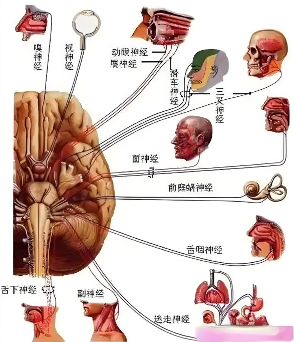 微信图片_20250607140244.png