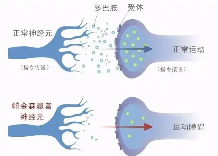 微信图片_20250606115853.png