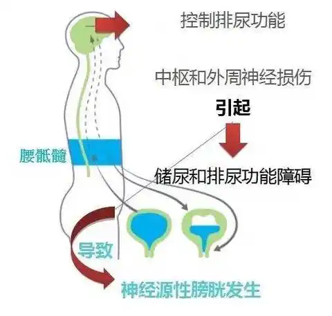 微信图片_20250606115853.png