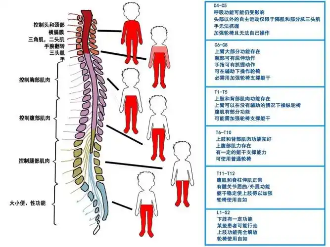 微信图片_20250607140014.png