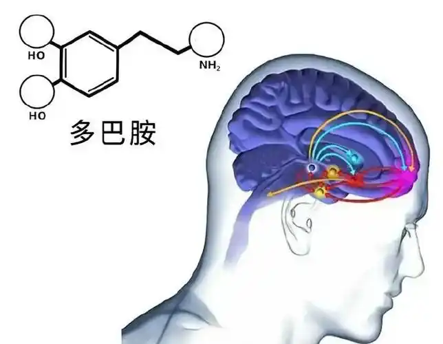 微信图片_20250606115853.png