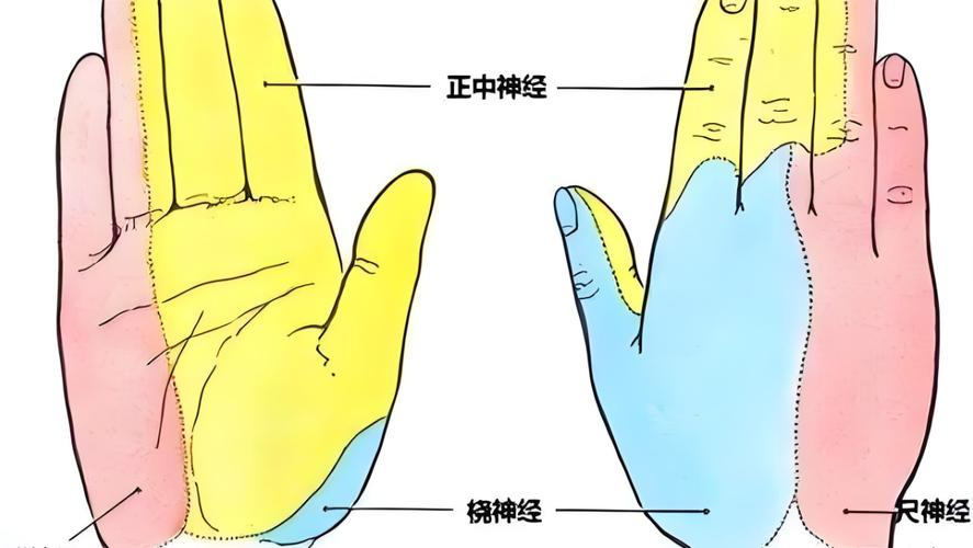 微信图片_20250607141100.png