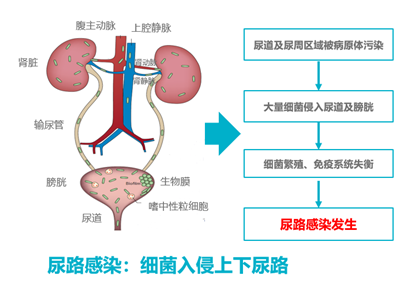微信图片_20250607151538.png