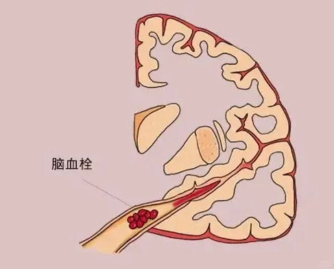 微信图片_20250607161510.png