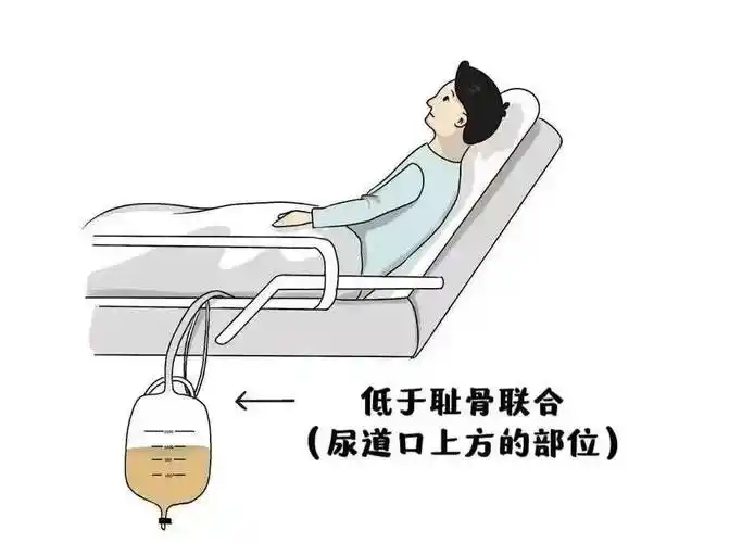 微信图片_20250607141100.png