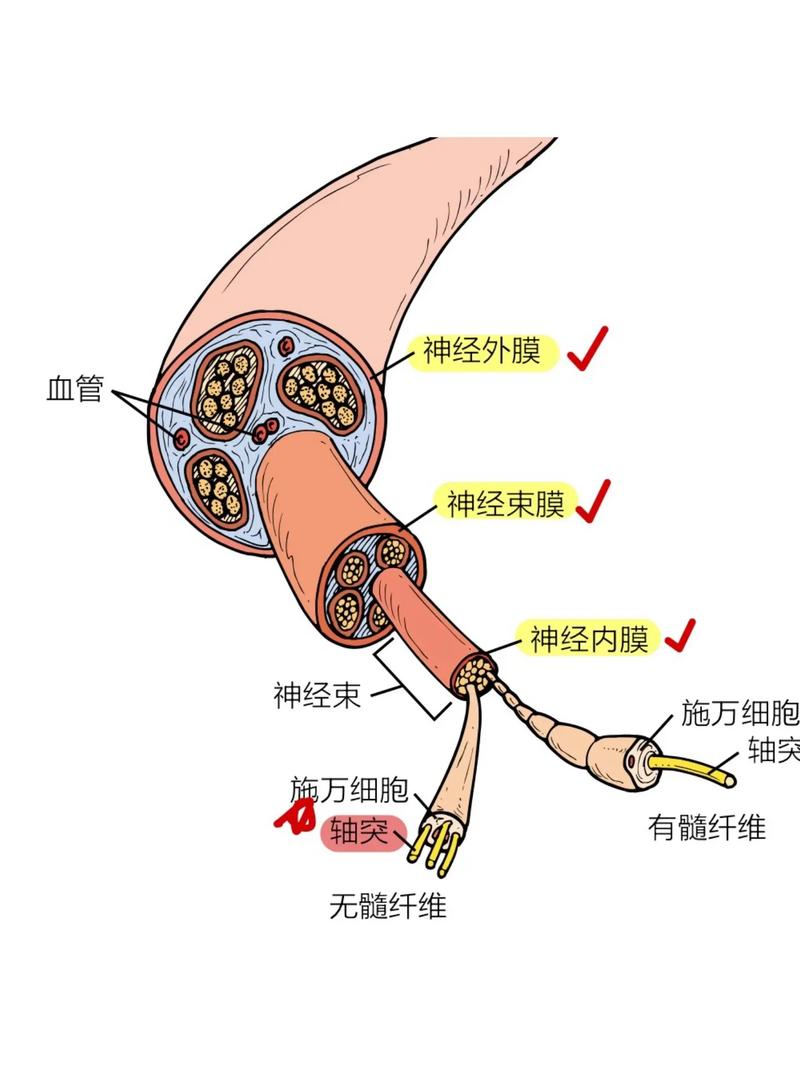 微信图片_20250614173452.png