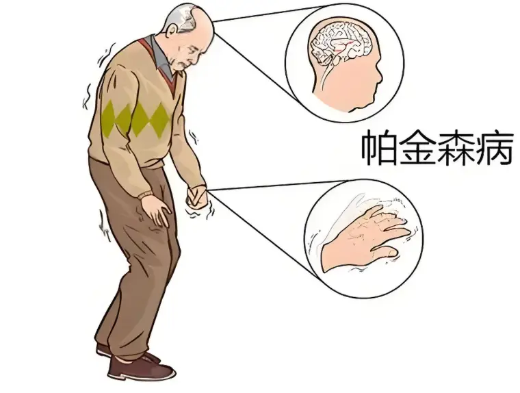 微信图片_20250607141100.png