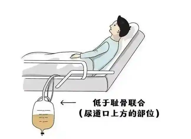 微信图片_20250607141309.png