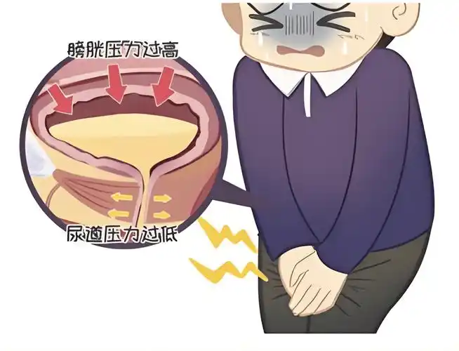 脊髓损伤后大小便功能障碍：能否恢复？