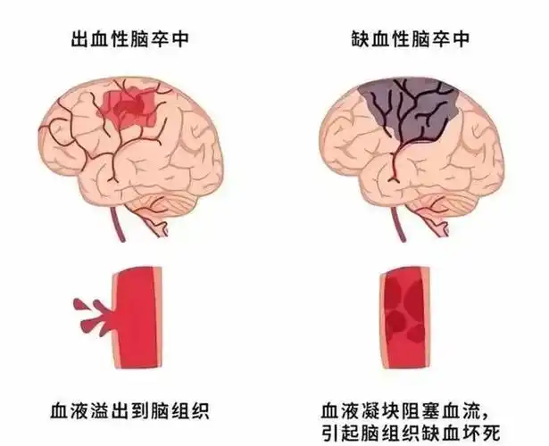 微信图片_20250607141100.png