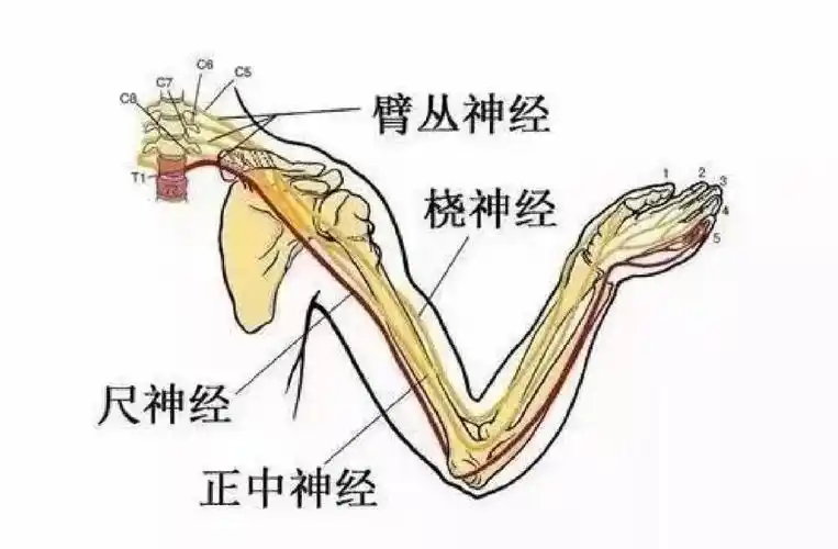 微信图片_20250607141309.png