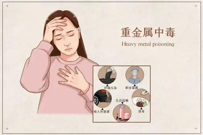 l.png