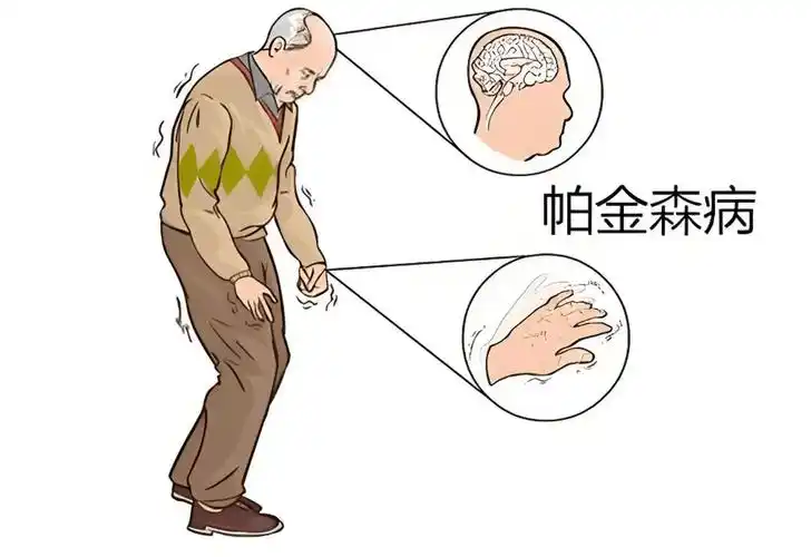 g.png