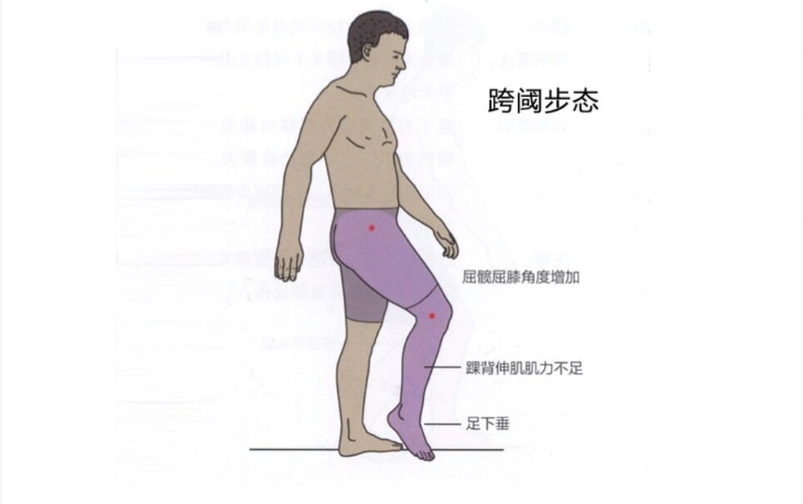 k.png