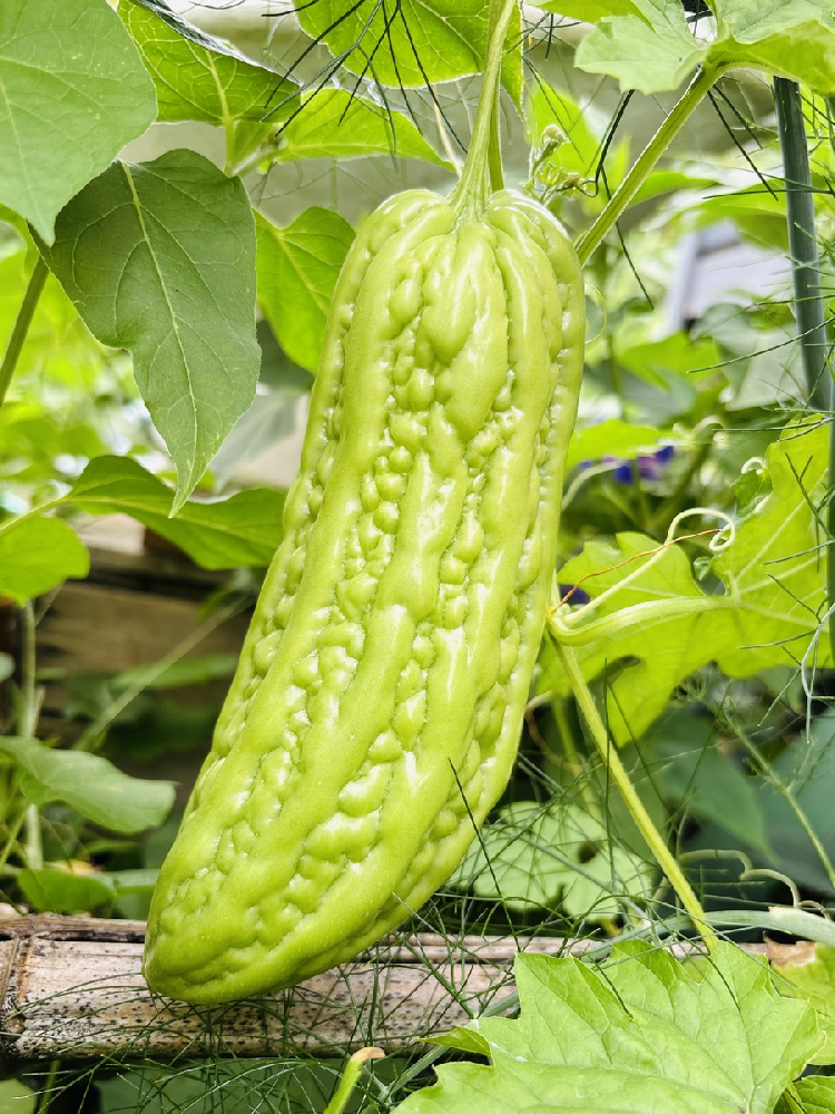 中风后手脚僵硬难舒展|两类食物少吃,疏通血管缓僵硬