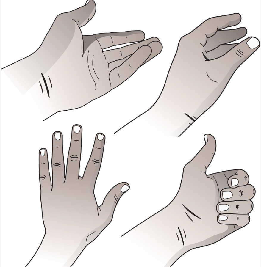 l.png